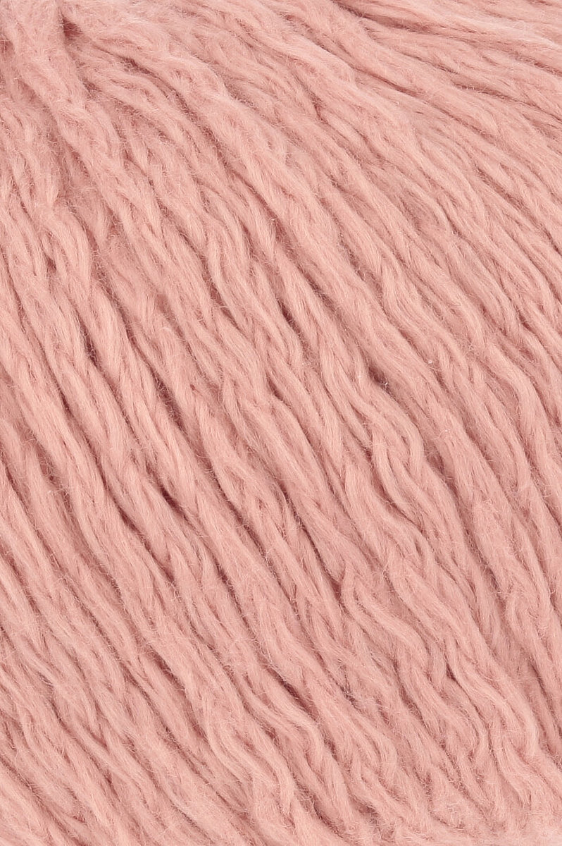 0027 apricot