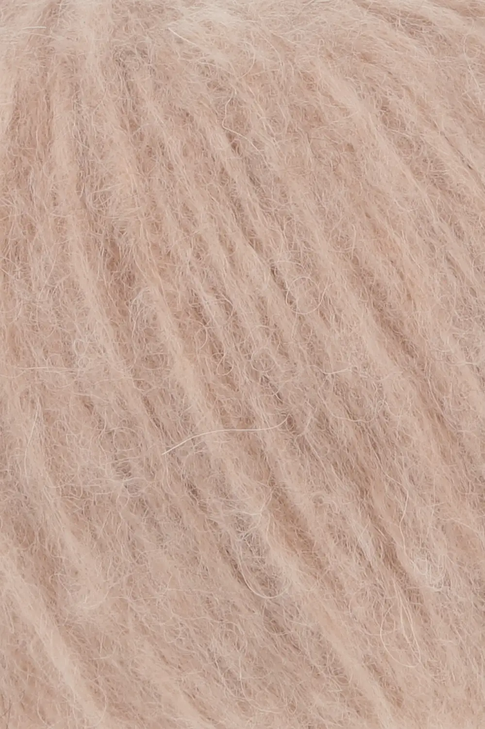 0027 apricot
