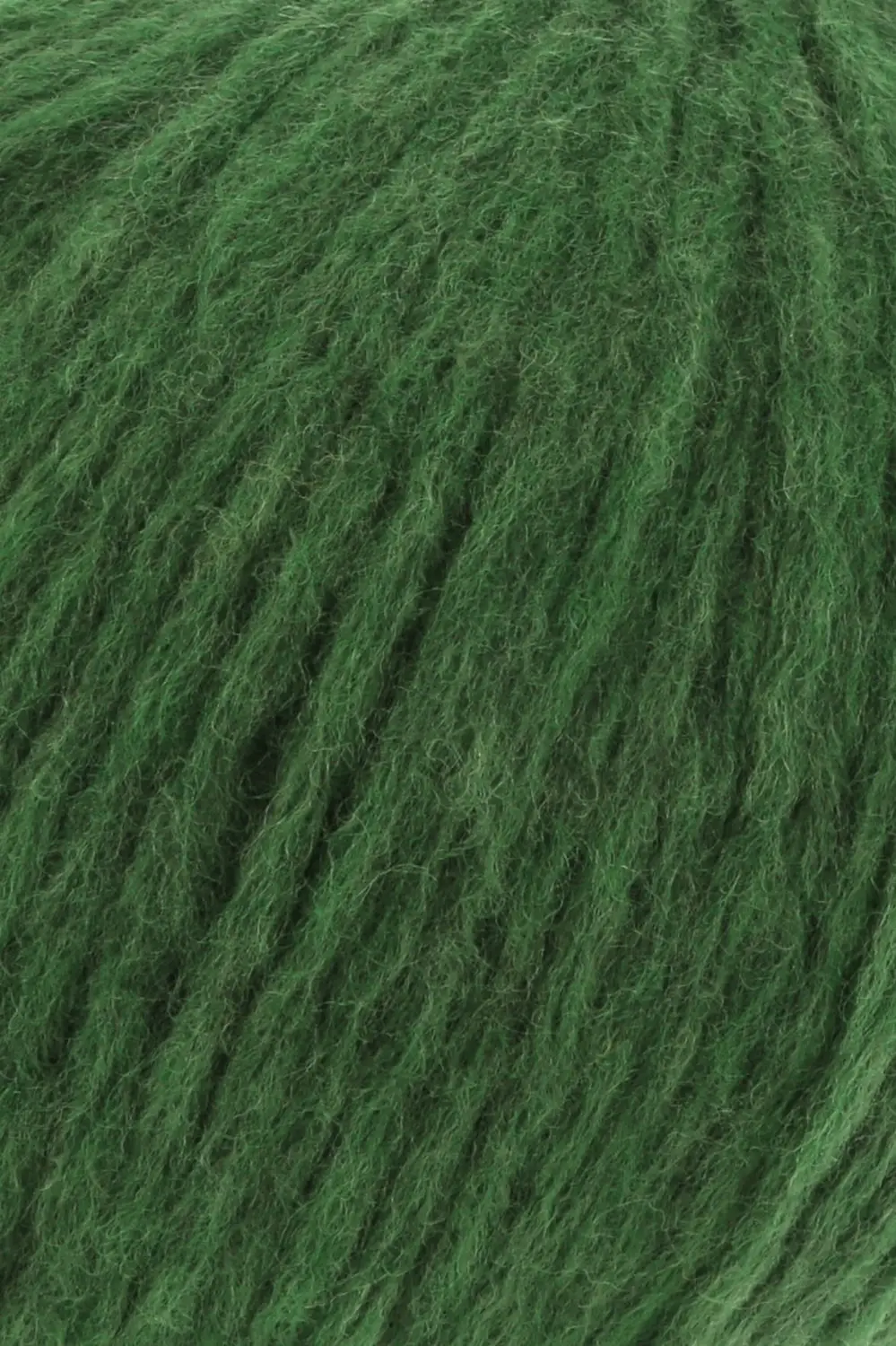 0016 avocado