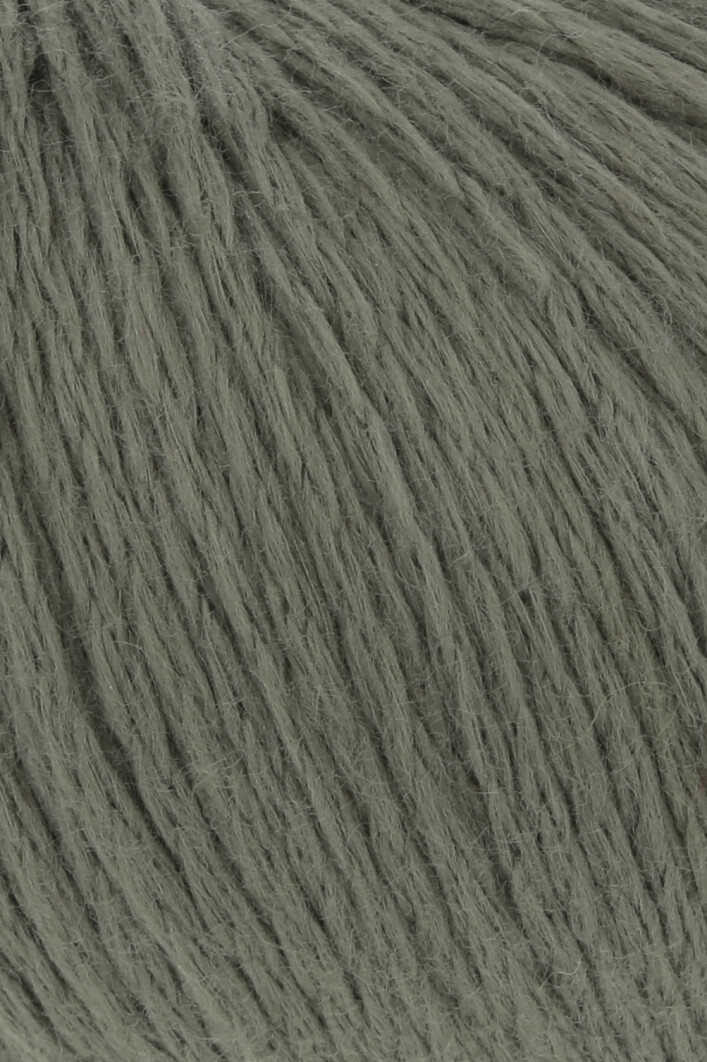 1111.0097 Olive