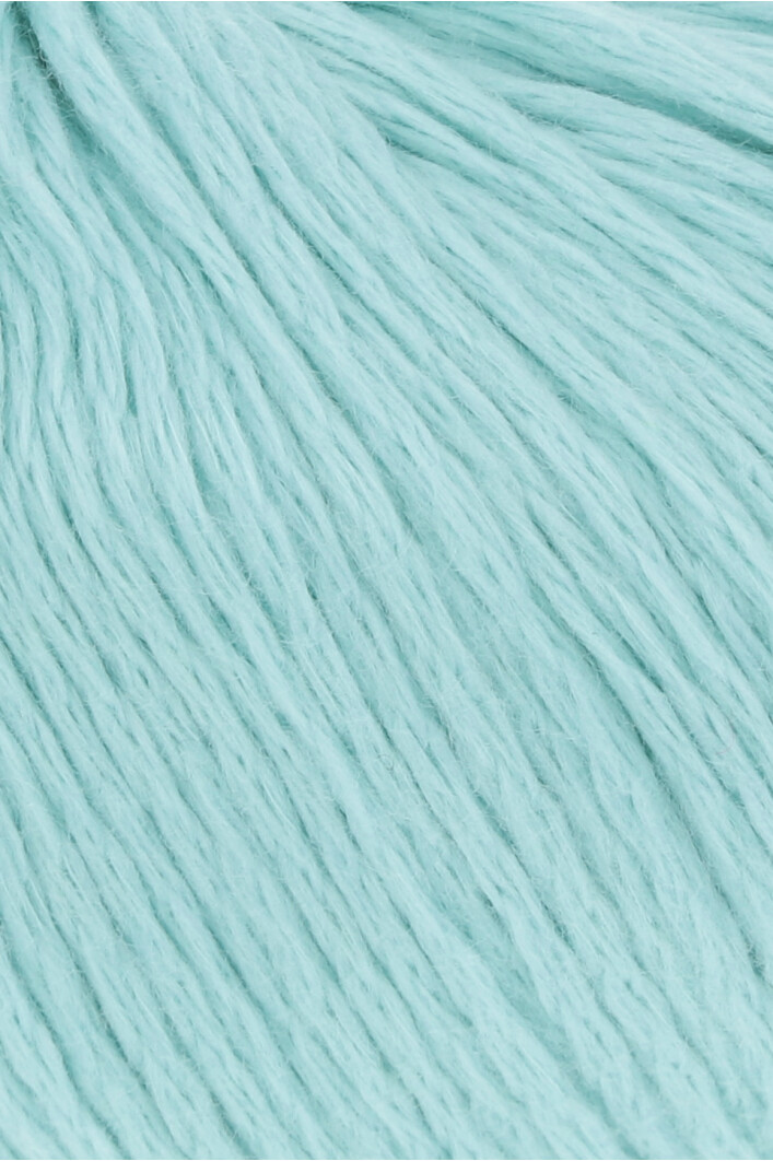 1111.0058 Mint