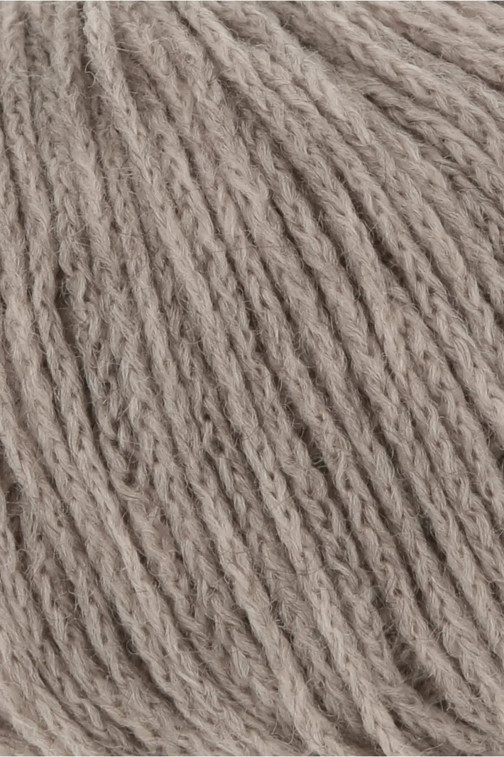 0039 camel