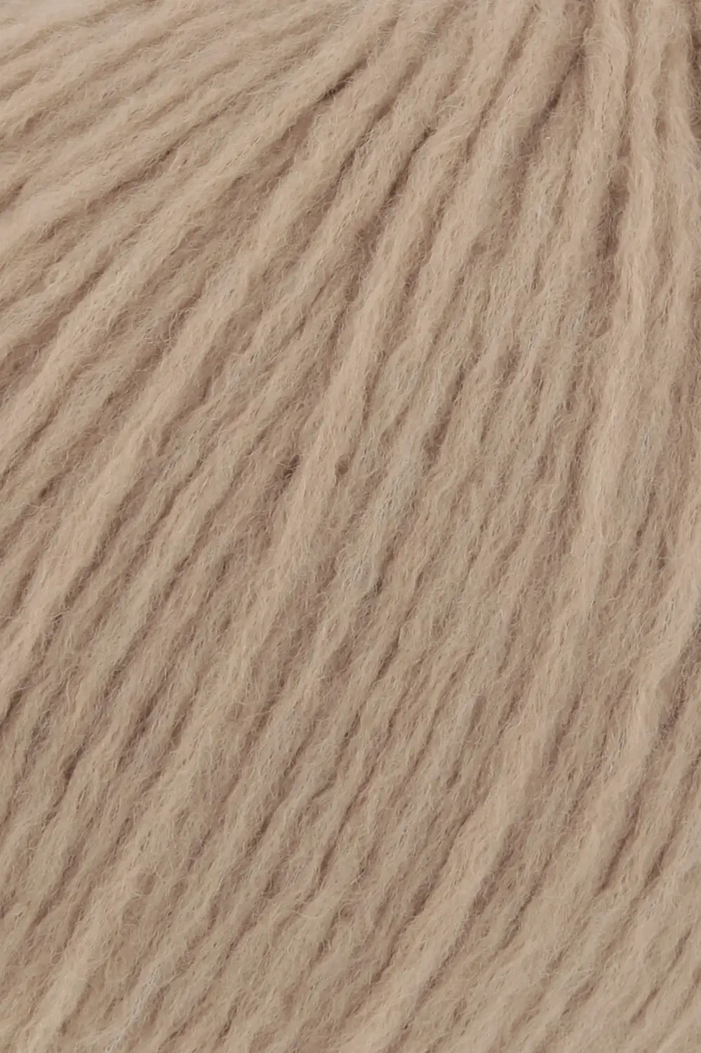 0039 camel