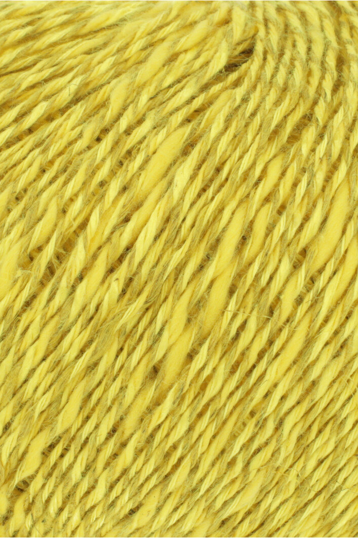 0049 sunflower