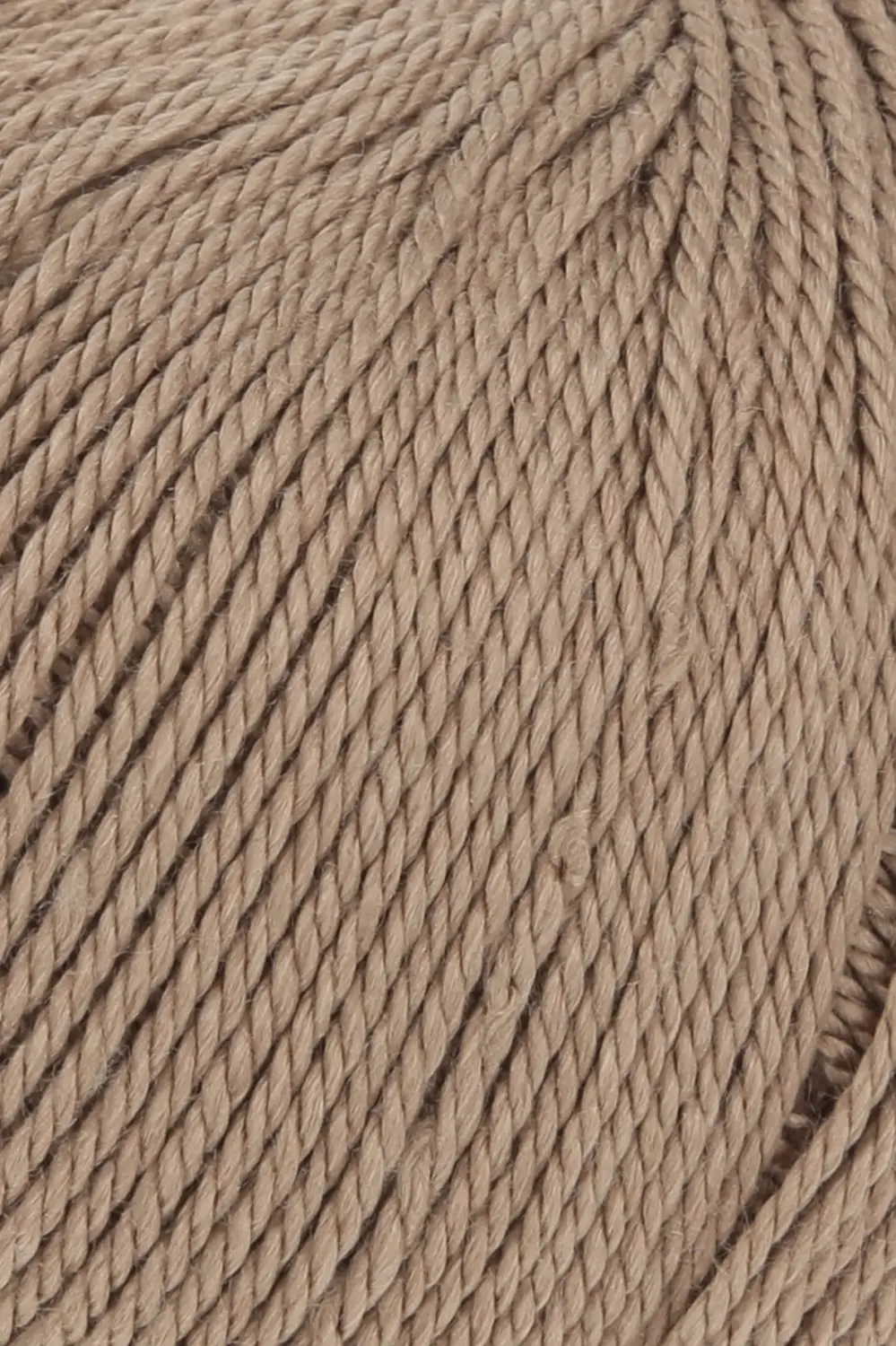 0039 camel