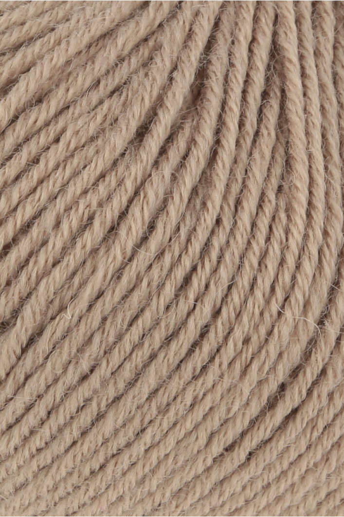 0039 camel
