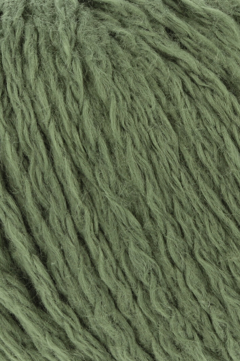 0117 Fern