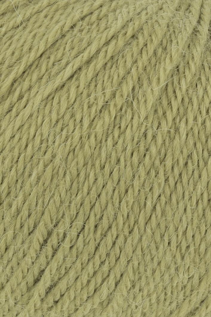0016 kiwi