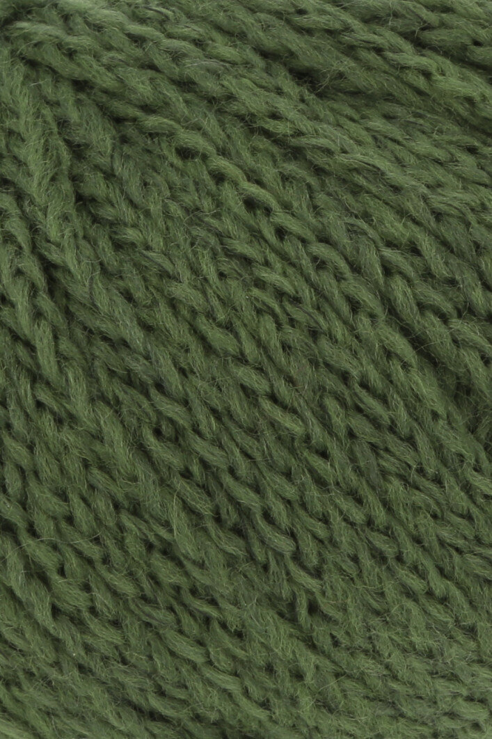 0118 Spirulina
