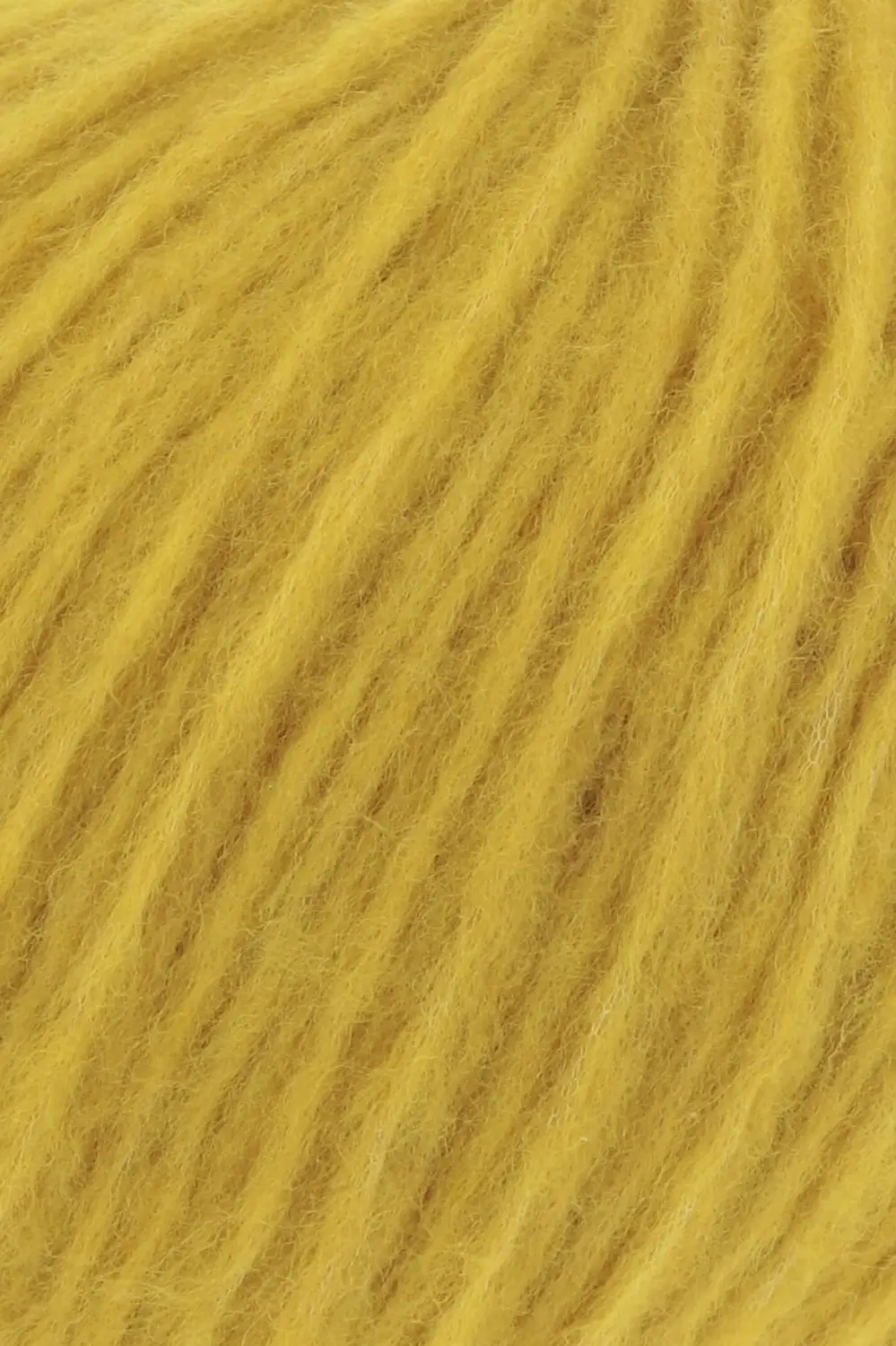 0050 Mustard