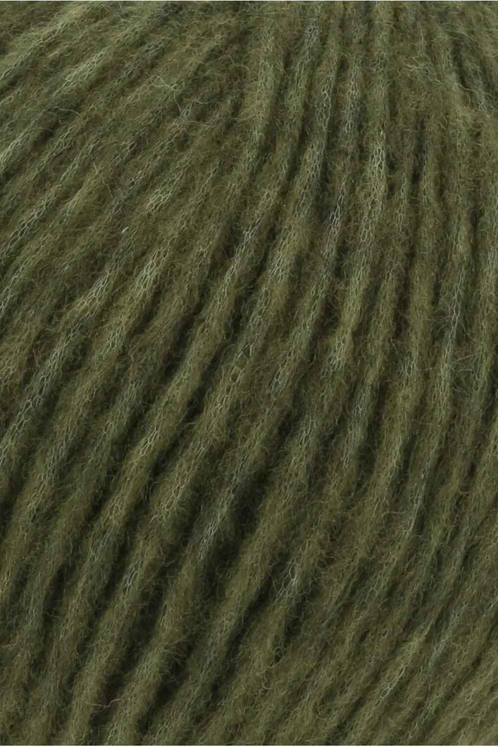 0217 Fern