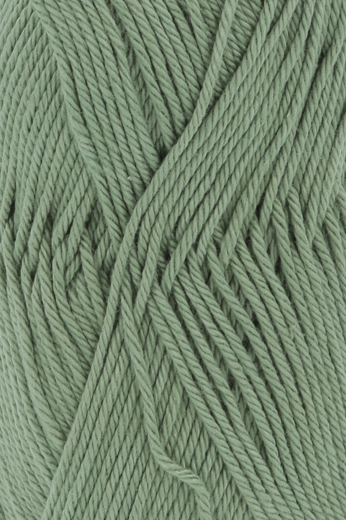 0092 salbei